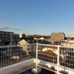 屋上